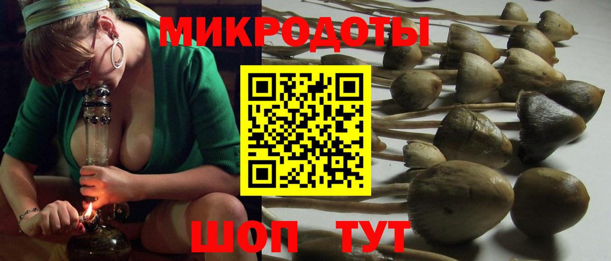 Галлюциногенные грибы MAGIC MUSHROOMS Новочебоксарск